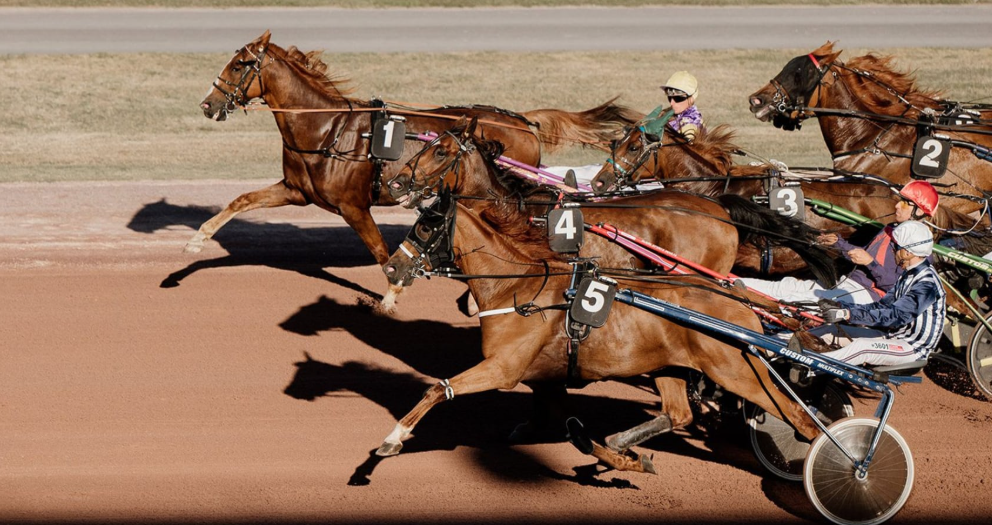 Statoprono || stato turf || prono stato